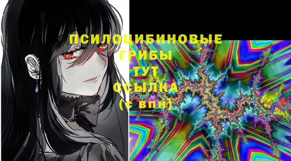ALPHA PVP Мегион