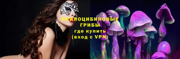 ALPHA PVP Мегион