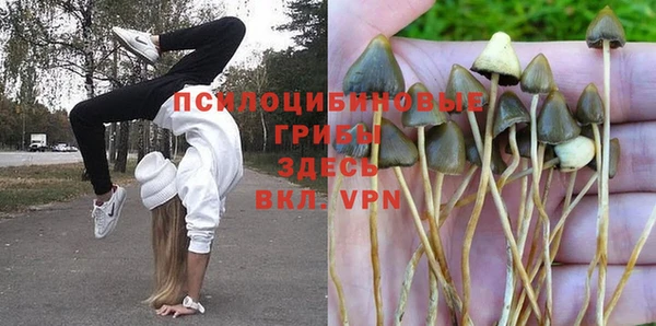 гидропоника Медногорск