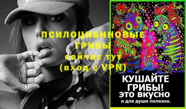 герыч Медвежьегорск