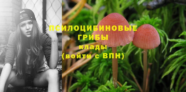 герыч Медвежьегорск